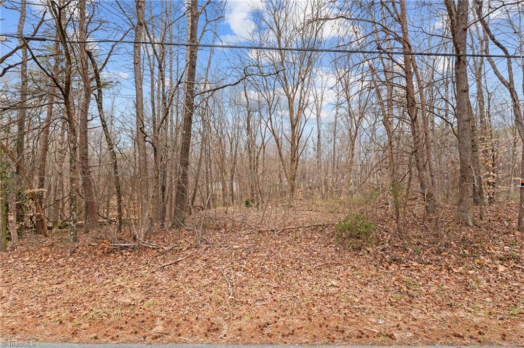 700 John Street Eden, NC 27288 - Photo 5 of 22