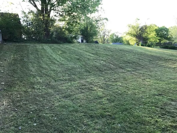 a view of a field with trees