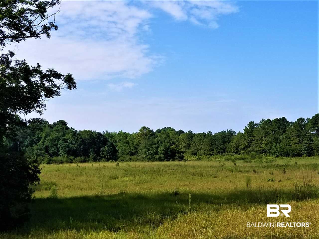14760 County Road 64 Loxley, AL 36551 - Photo 13 of 19