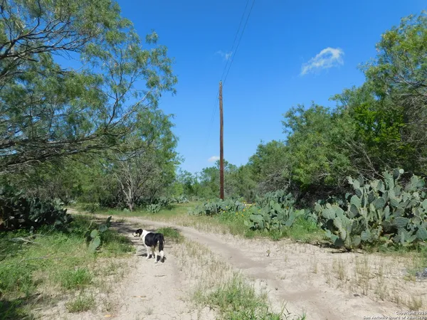 $425,000 | Tbd Mccauley Road, Floresville, TX 78114