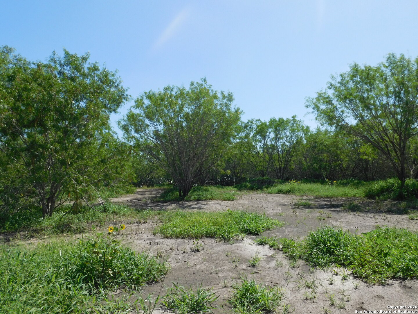 Tbd Mccauley Road Floresville, TX 78114 - Photo 6 of 11