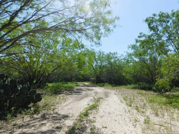 $425,000 | Tbd Mccauley Road, Floresville, TX 78114