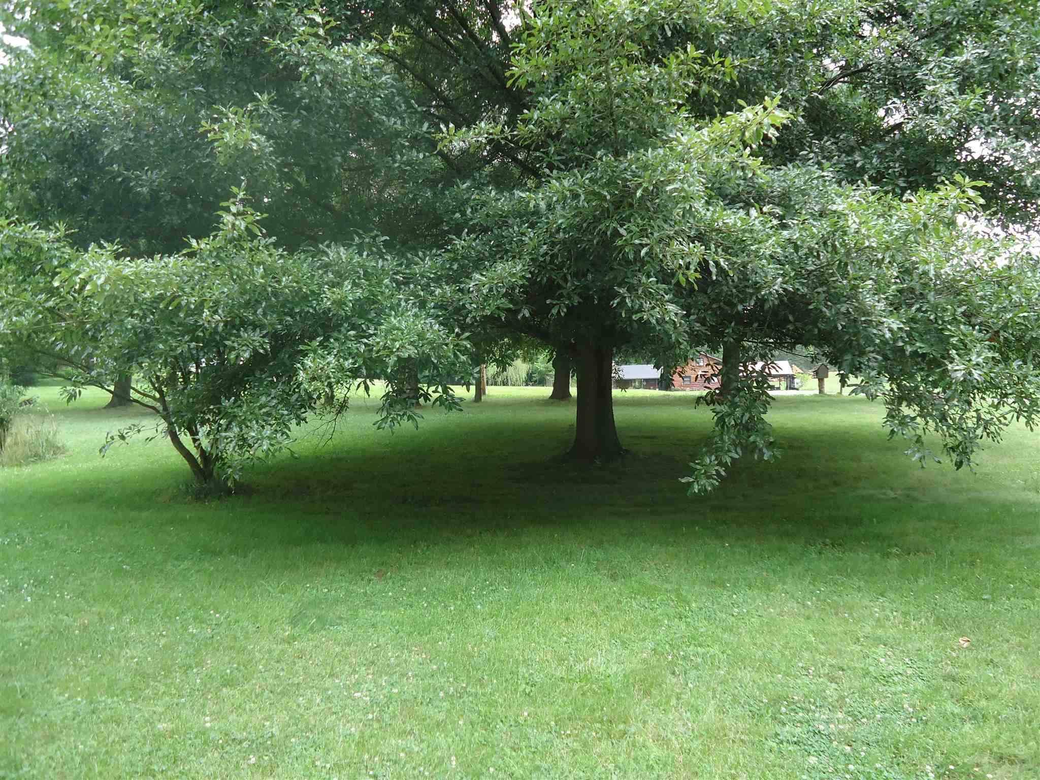 4338 Williams Road Bedford, IN 47421 - Photo 9 of 36