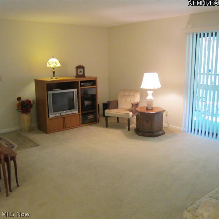 22960 Mastick Road, Unit 103 Cleveland, OH 44126 - Photo 3 of 18 SPACIOUS LIVING ROOM WITH SLIDING DOOR TO RELAXING SCREENED PORCH