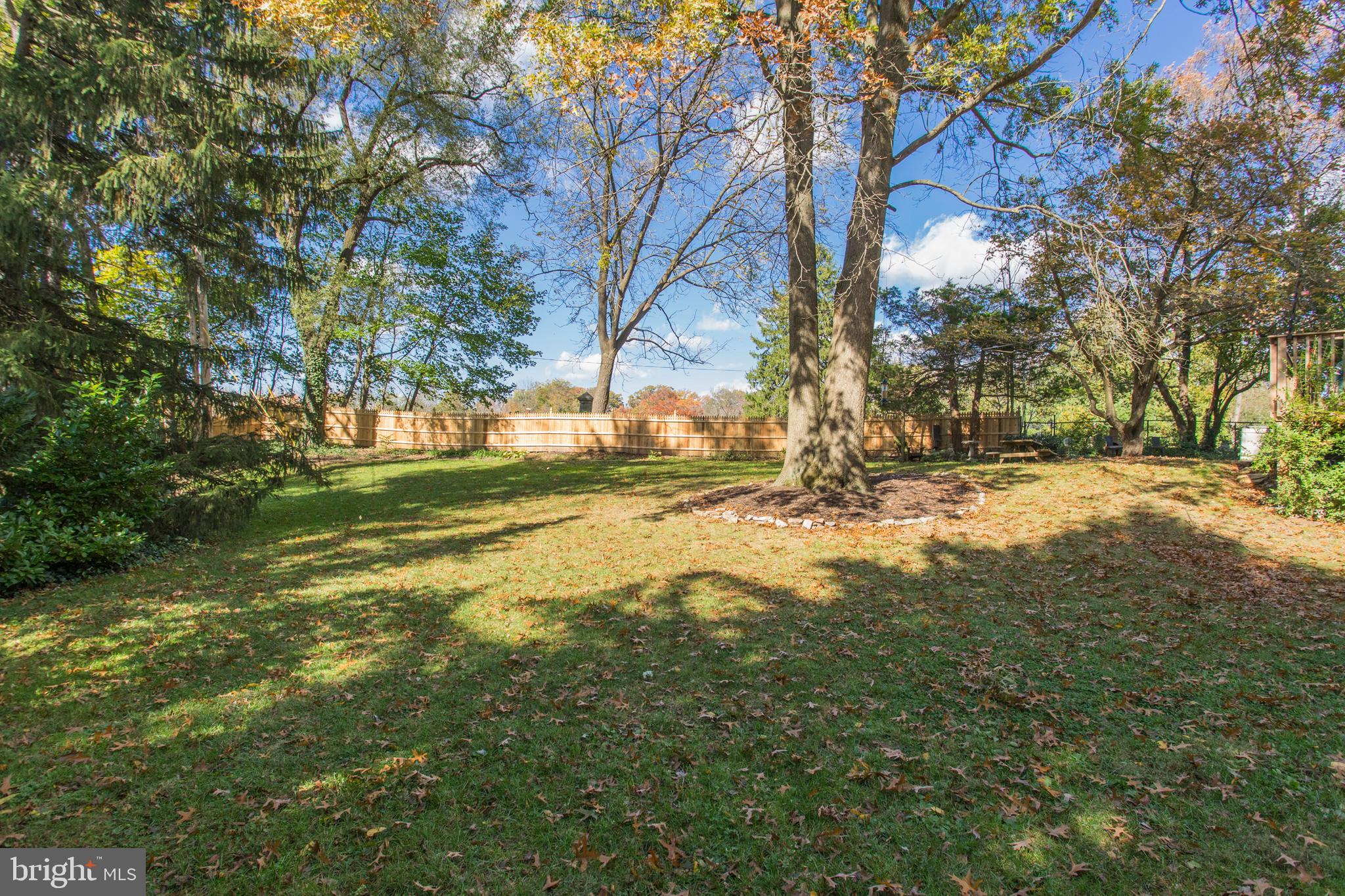 651 Church Road Flourtown, PA 19031 - Photo 26 of 29 Beautiful trees.