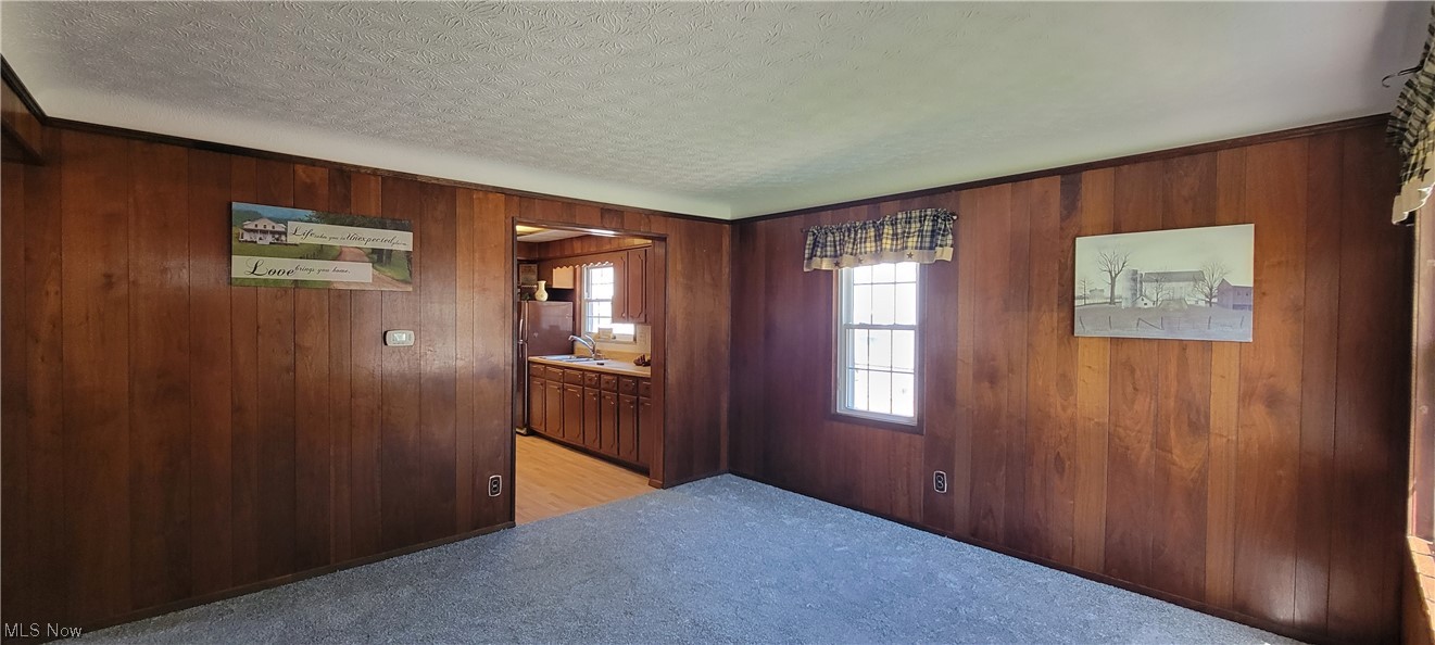 33703 Guilbert Road Eastlake, OH 44095 - Photo 32 of 32 Spare room featuring wood walls, dark carpet, and a textured ceiling
