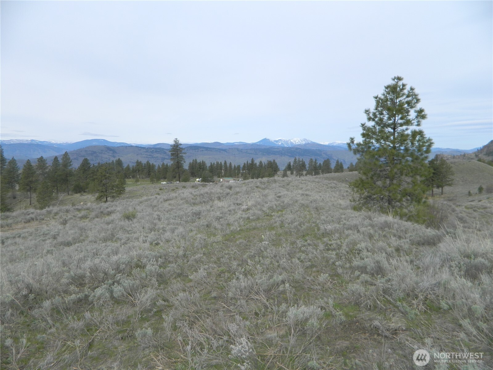 0 Tbd Six Gun Way Oroville, WA 98844 - Photo 11 of 14 a view of a field with a tree in the background