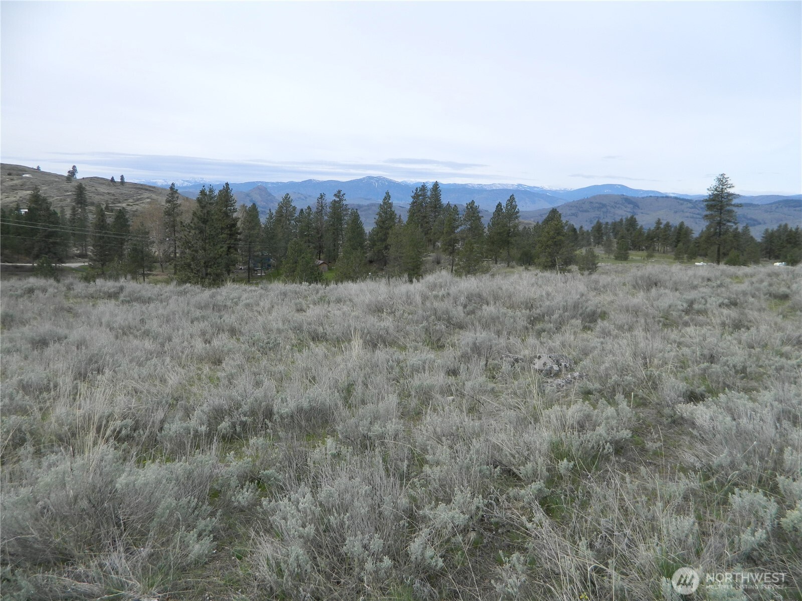 0 Tbd Six Gun Way Oroville, WA 98844 - Photo 13 of 14 a view of a city with lush green forest