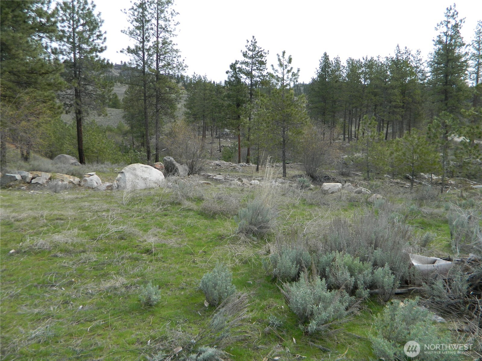 0 Tbd Six Gun Way Oroville, WA 98844 - Photo 2 of 14 a view of a lake with a forest