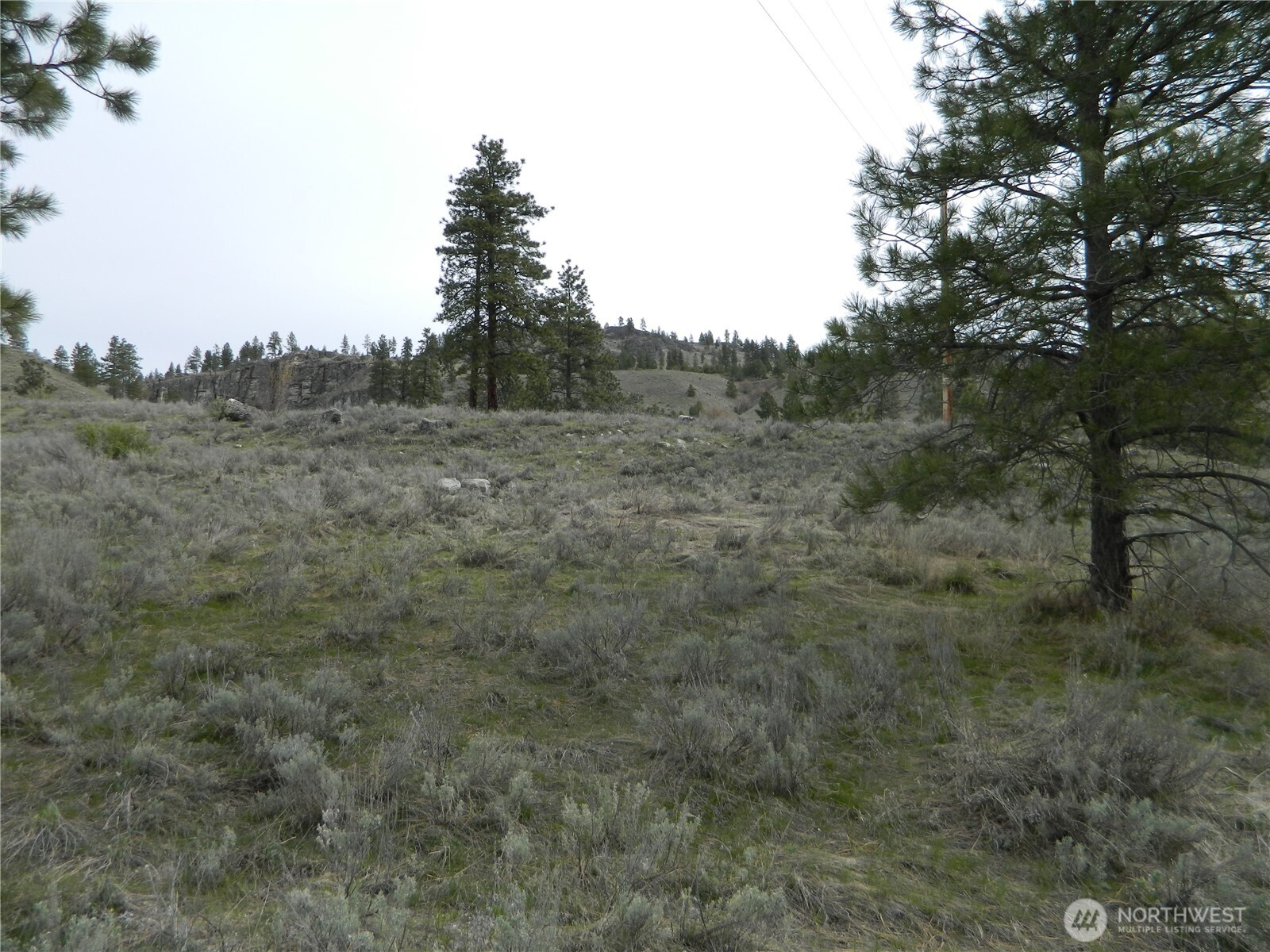 0 Tbd Six Gun Way Oroville, WA 98844 - Photo 3 of 14 a view of a dry yard with trees in the background