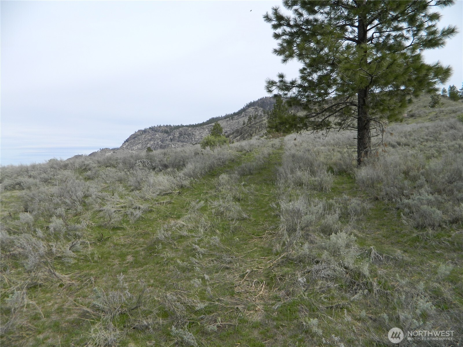 0 Tbd Six Gun Way Oroville, WA 98844 - Photo 4 of 14 a view of a dry yard with mountains in the background