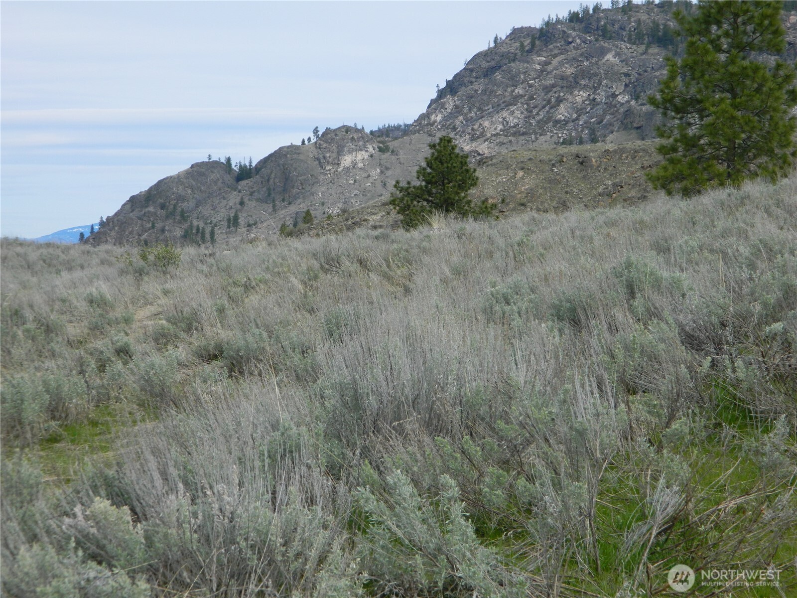 0 Tbd Six Gun Way Oroville, WA 98844 - Photo 6 of 14 a view of a dry field