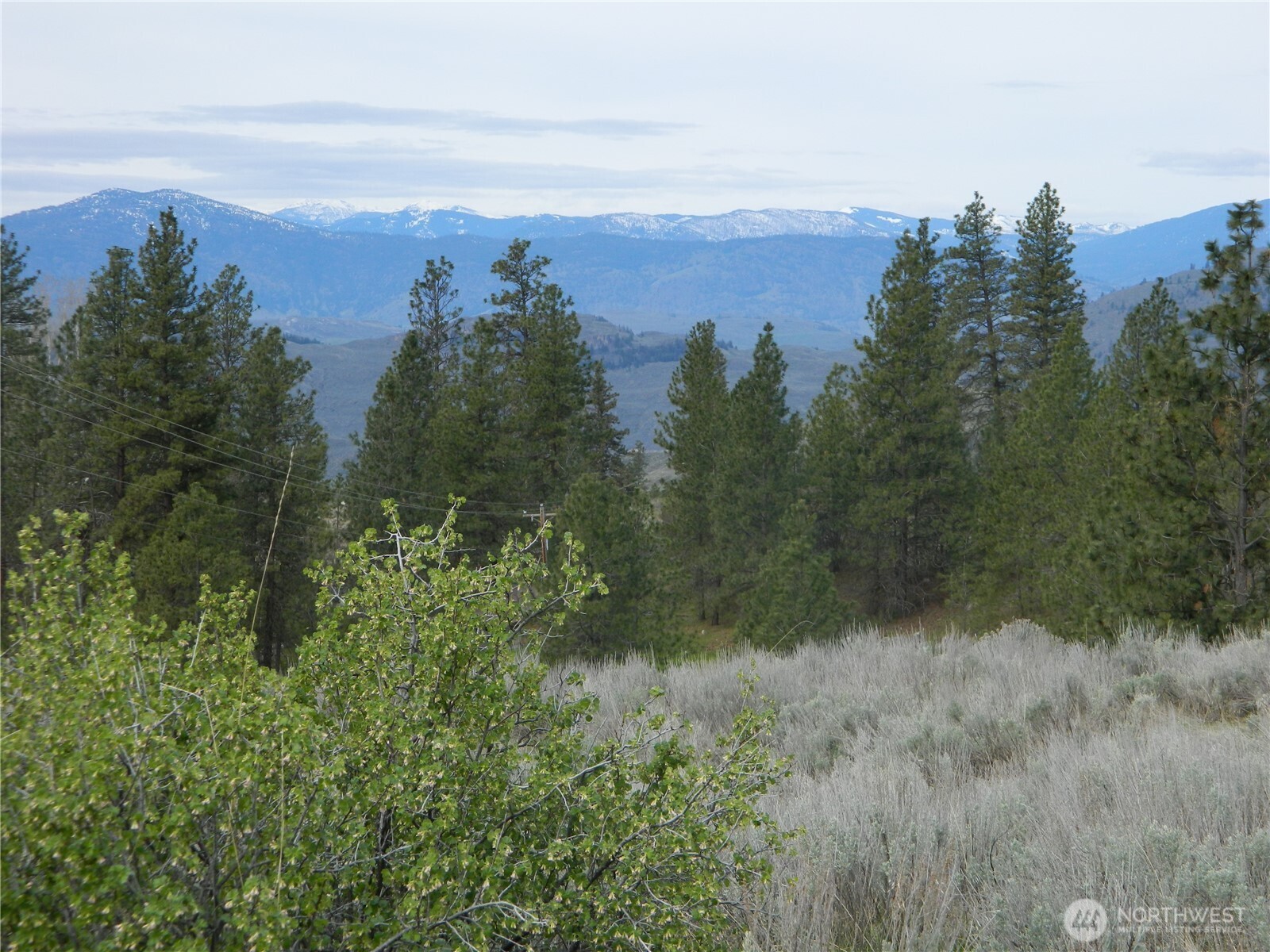 0 Tbd Six Gun Way Oroville, WA 98844 - Photo 7 of 14 a view of a forest with a mountain in the background