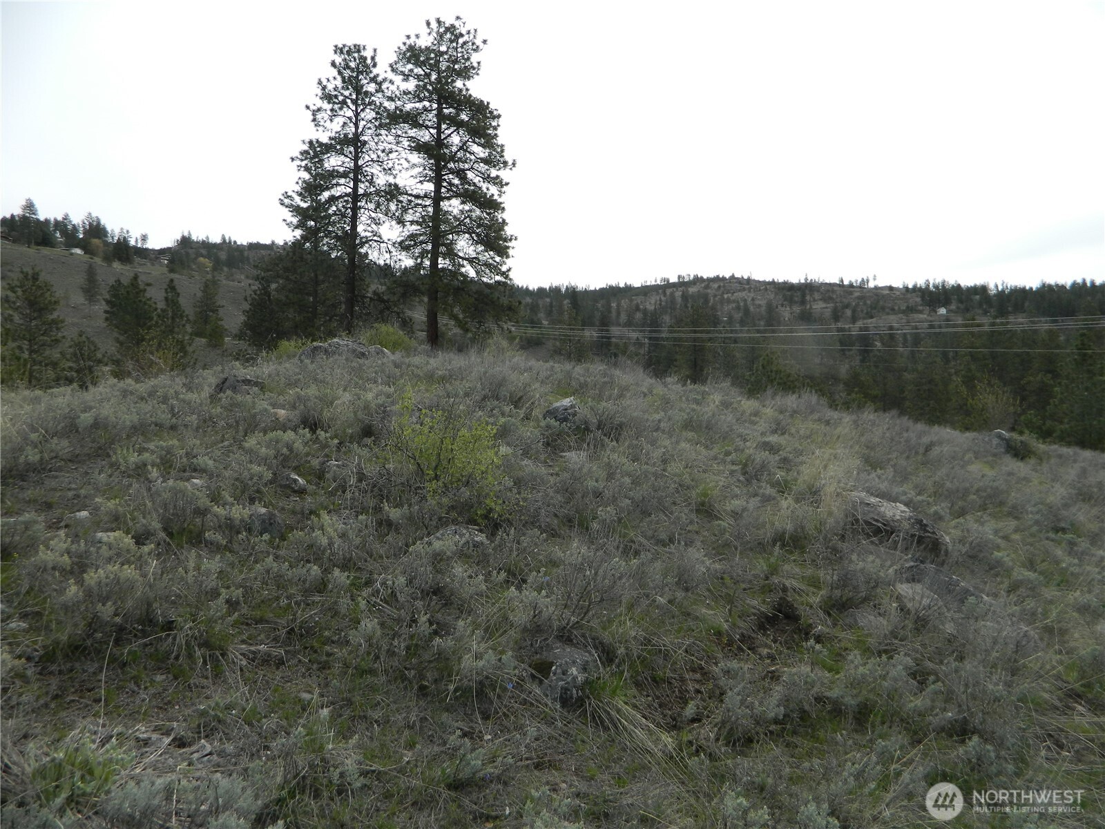 0 Tbd Six Gun Way Oroville, WA 98844 - Photo 8 of 14 a view of a forest with trees in the background