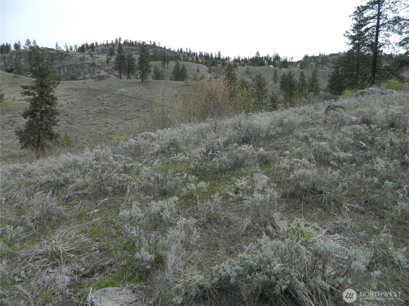 0 Tbd Six Gun Way Oroville, WA 98844 - Photo 9 of 14 a view of a field of grass and trees