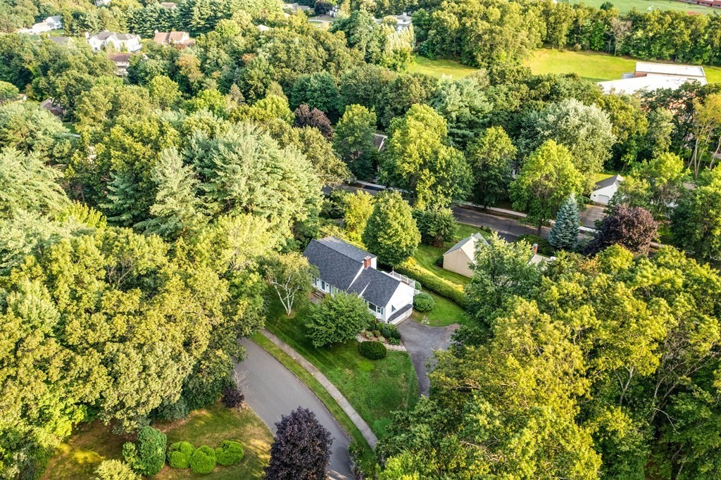 43 Hilltop Road Longmeadow, MA 01106 - Photo 36 of 42 Gallery Image 36