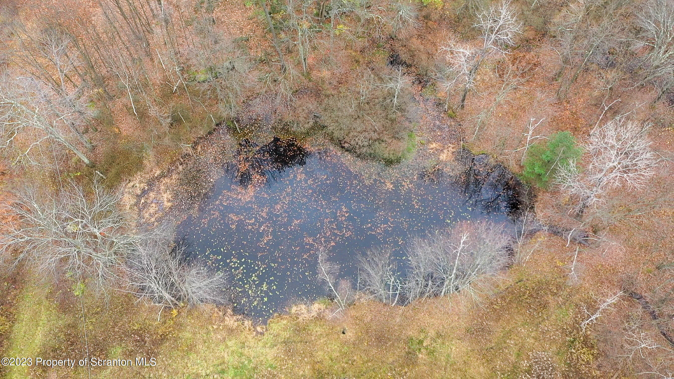 740 Weavertown Road Shavertown, PA 18708 - Photo 10 of 82 a view of a dry yard
