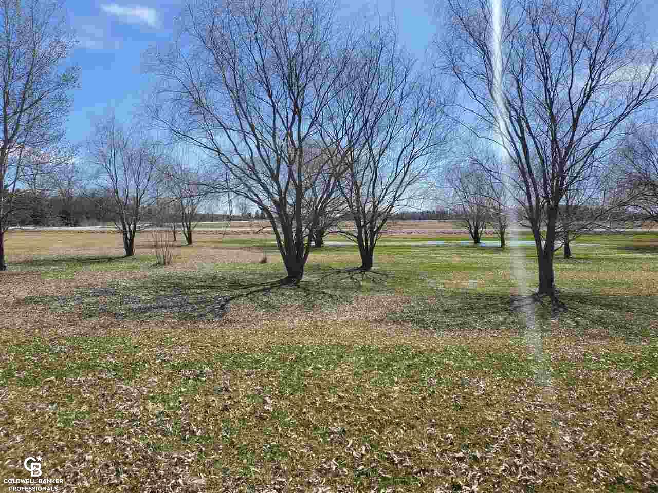 8029 Emmett Road Yale, MI 48097 - Photo 19 of 21