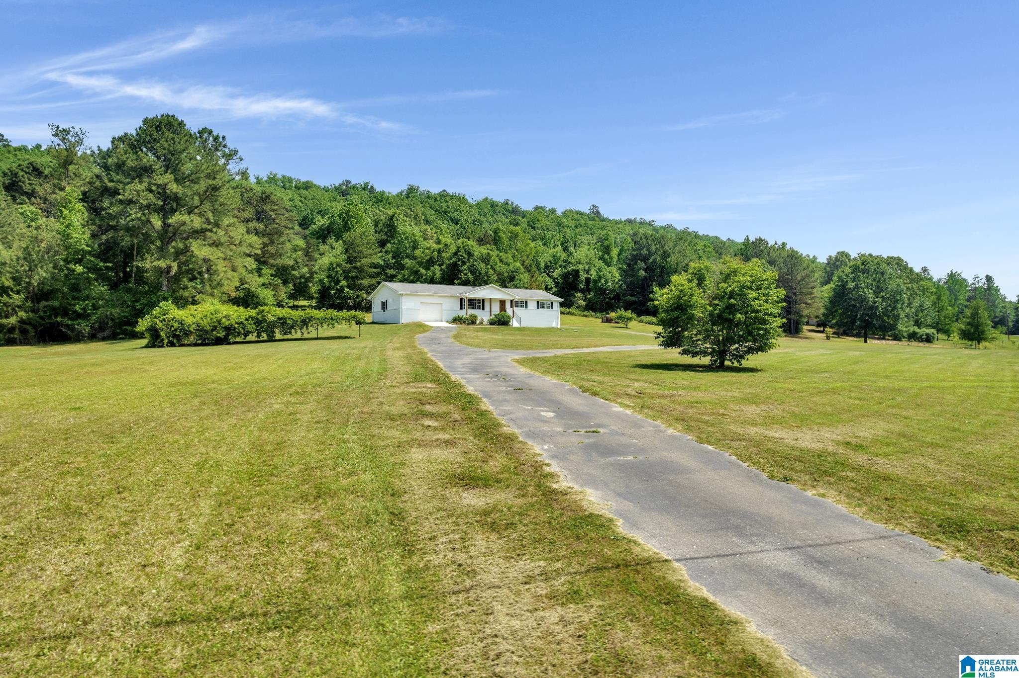 1288 Champion Road Oneonta, AL 35121 - Photo 31 of 34