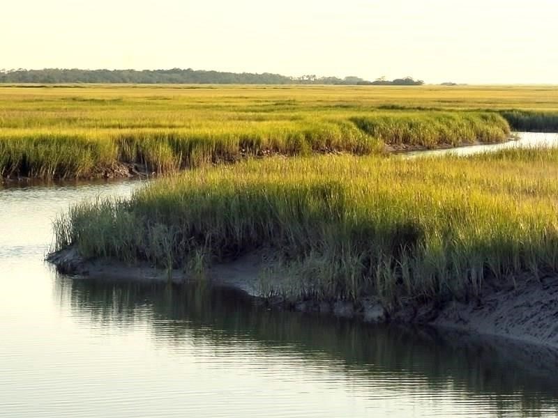 331 Brockinton Marsh St. Simons Island, GA 31522 - Photo 33 of 35