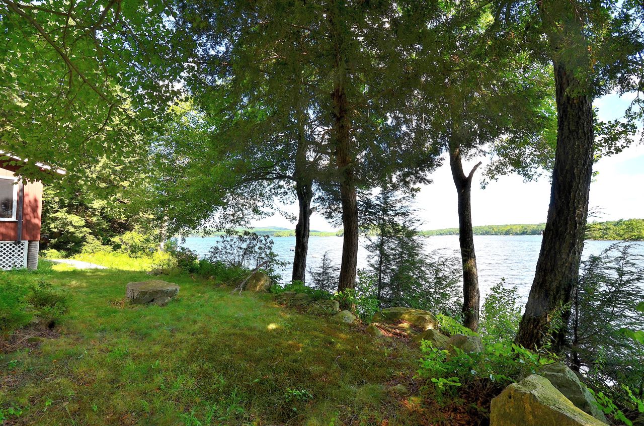 405 Stanley Road Otis, MA 01029 - Photo 6 of 16 a view of backyard with green space