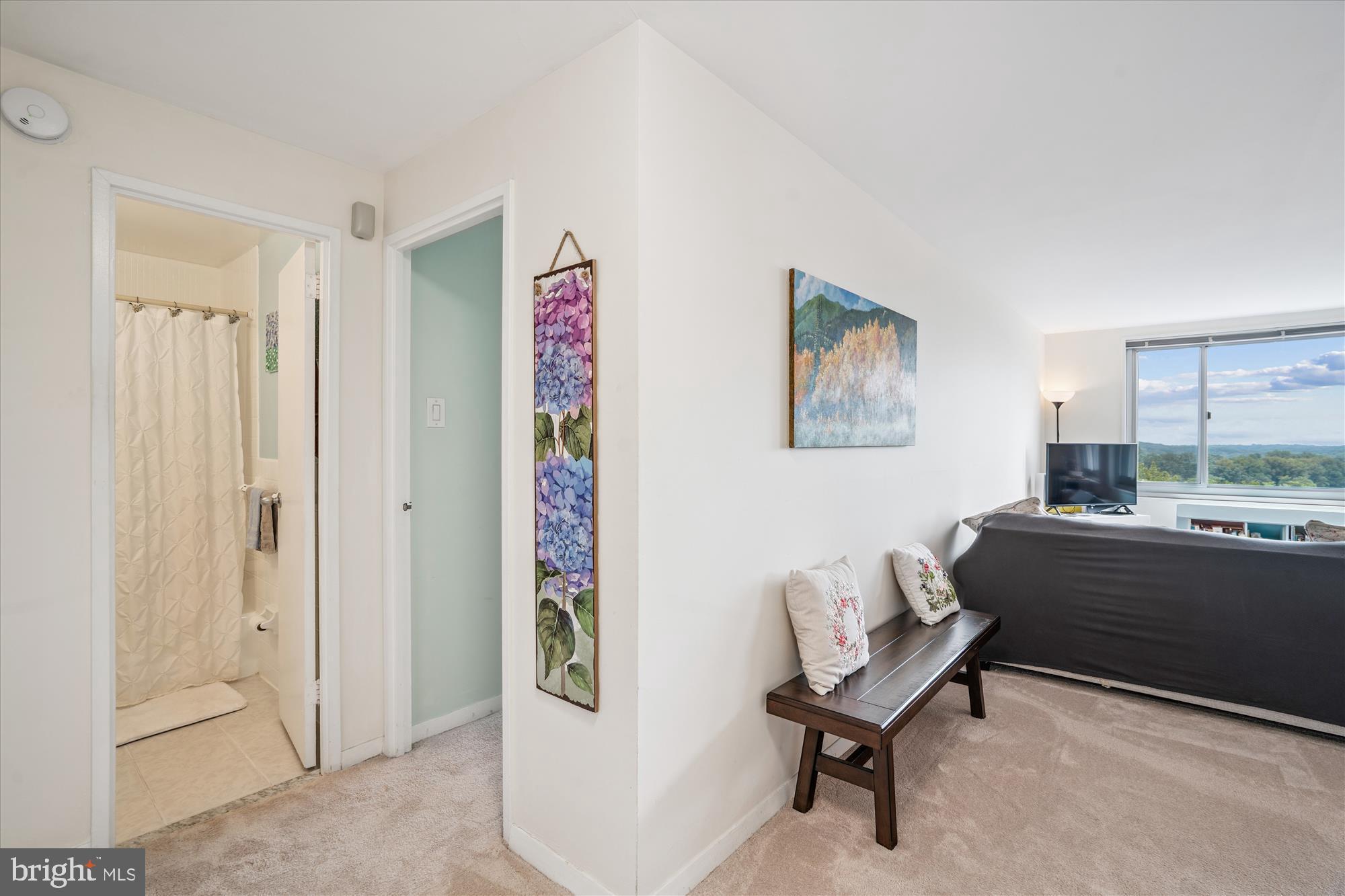 1900 Lyttonsville Road, Unit 1308 Silver Spring, MD 20910 - Photo 18 of 52 a living room with furniture and a gate