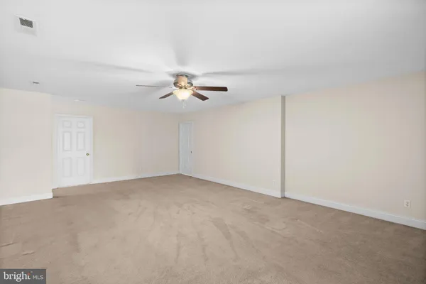 a view of a yard with large trees