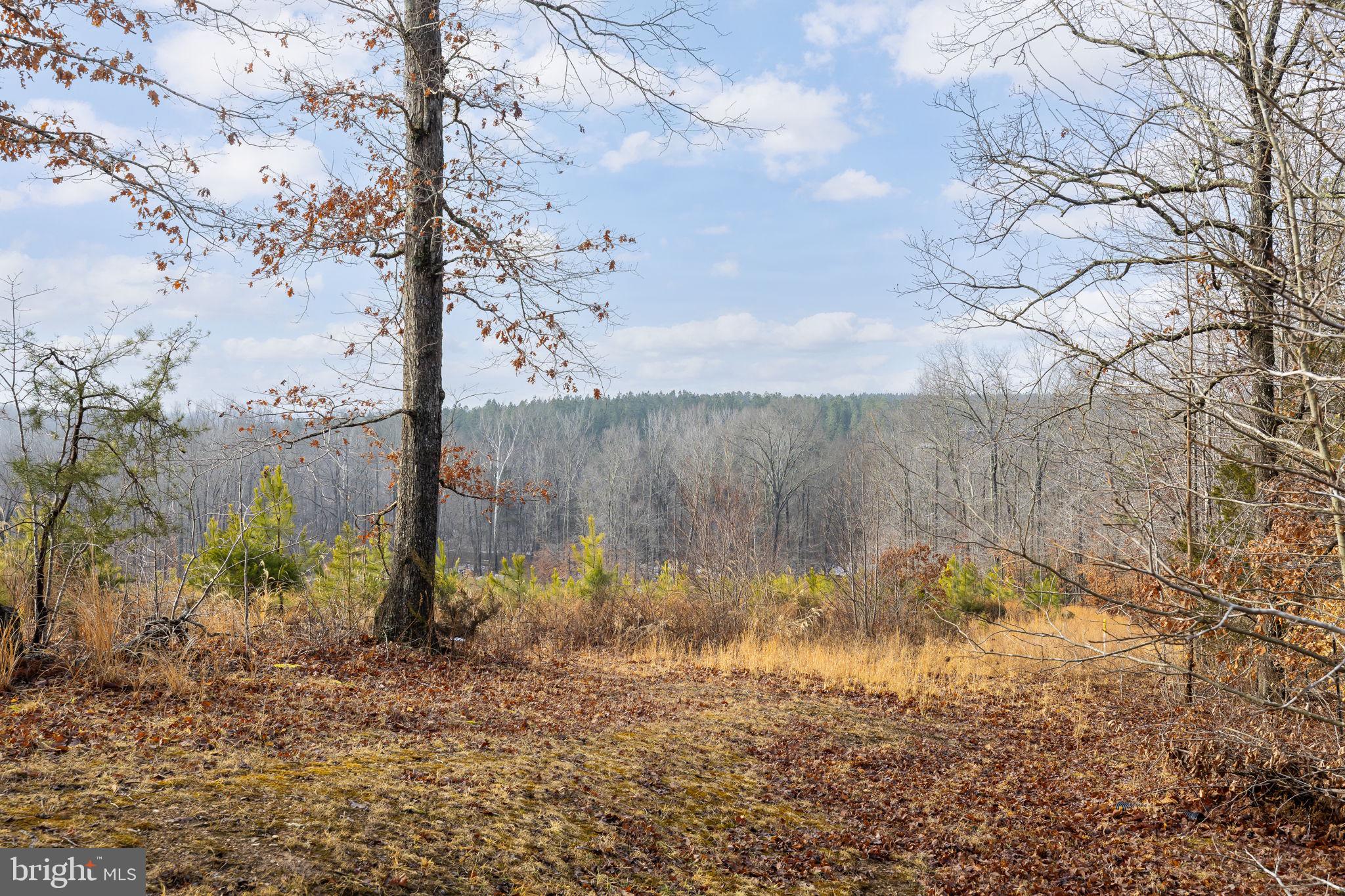 2481 Yanceyville Road Louisa, VA 23093 - Photo 58 of 66