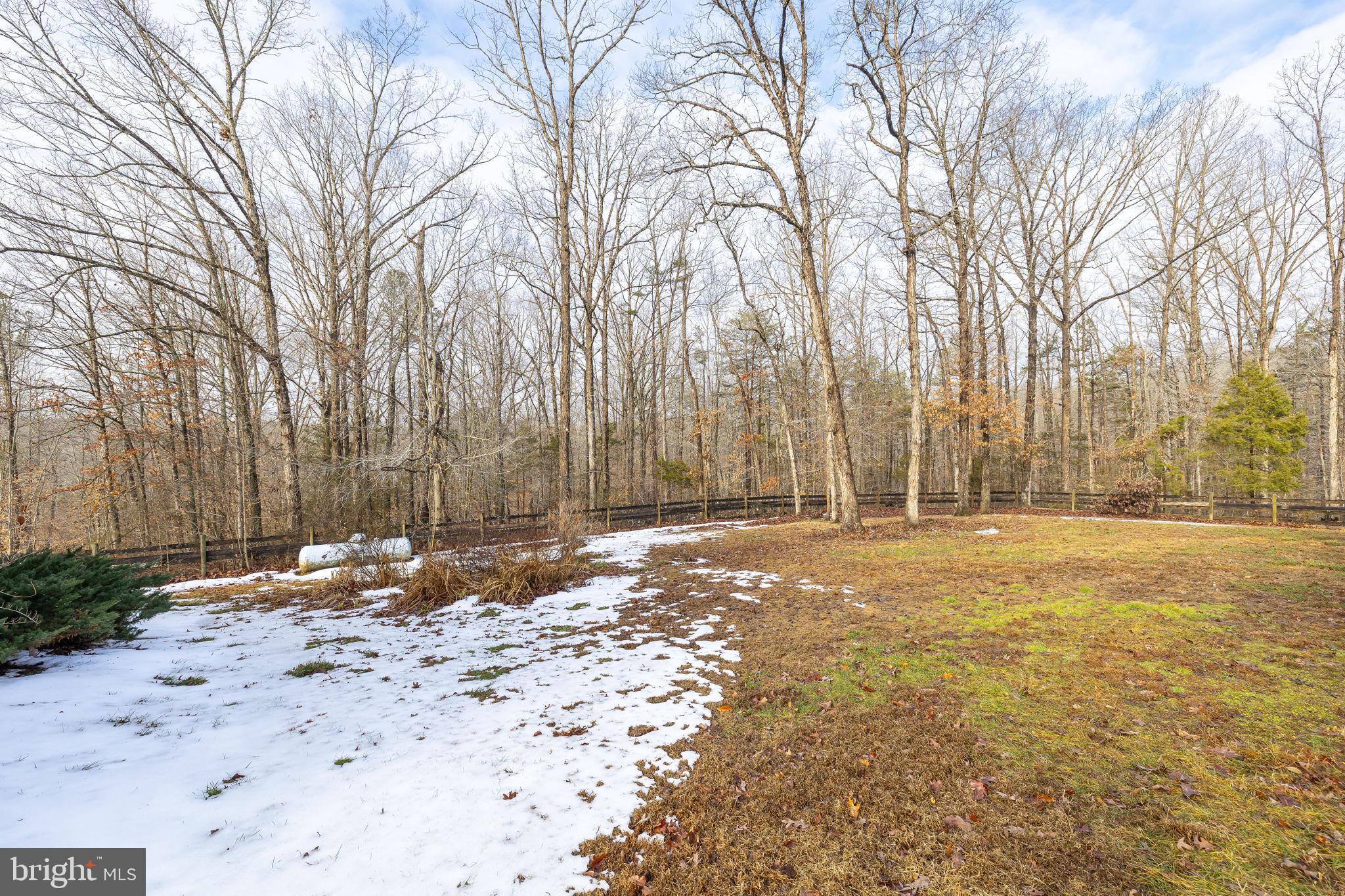 2481 Yanceyville Road Louisa, VA 23093 - Photo 59 of 66 a backyard of a house with trees and houses