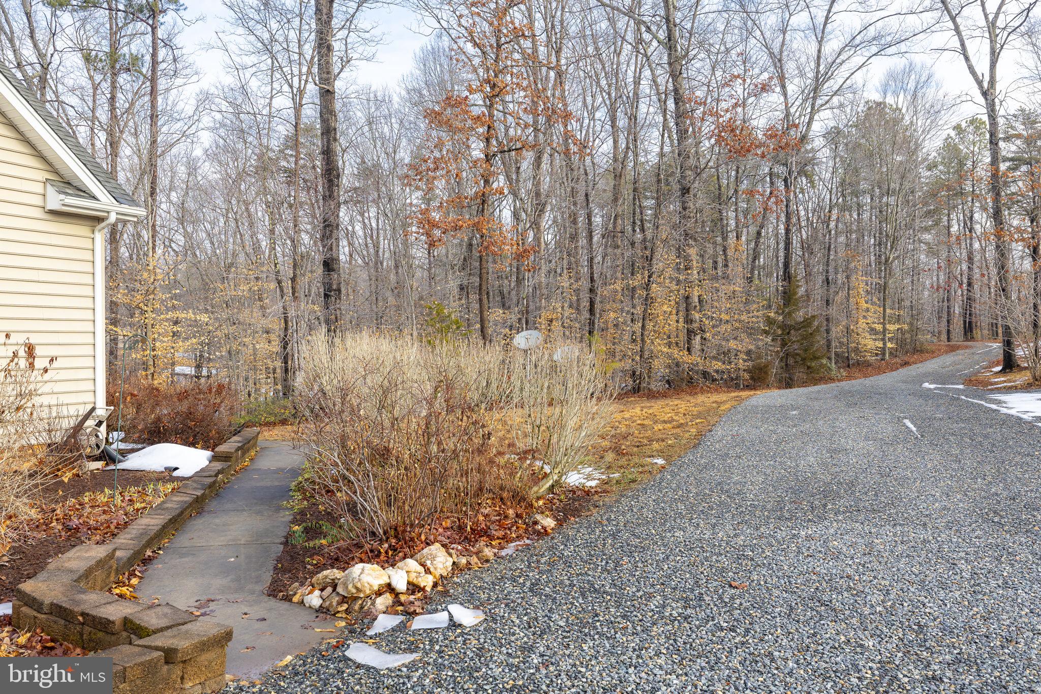 2481 Yanceyville Road Louisa, VA 23093 - Photo 61 of 66 a view of backyard of the house