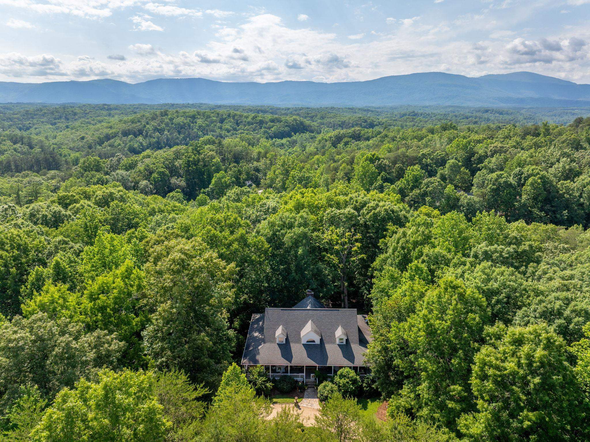 175 Green Hills Road Mill Spring, NC 28756 - Photo 2 of 50