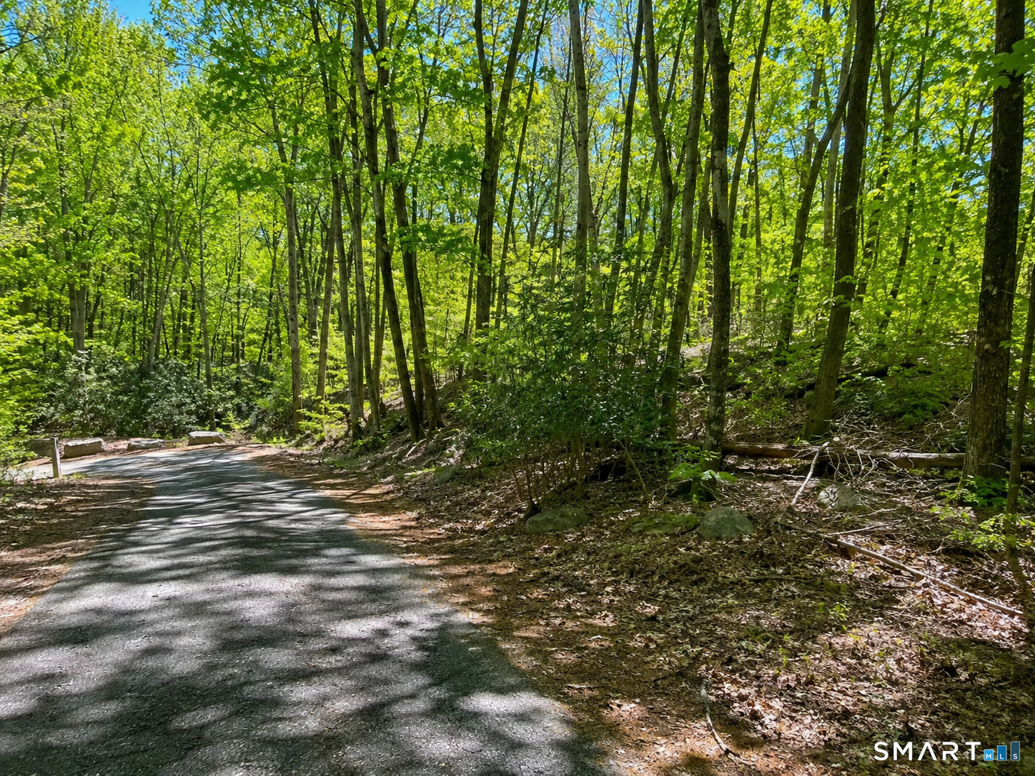 6 Red Fox Road East Lyme, CT 06333 - Photo 5 of 7
