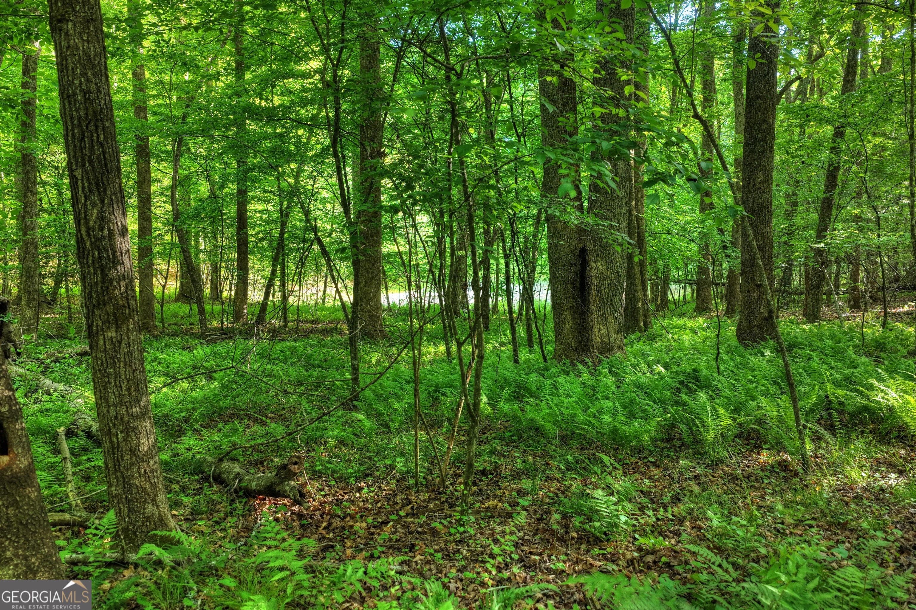 8-ac Mcnelley Road Morganton, GA 30560 - Photo 42 of 47