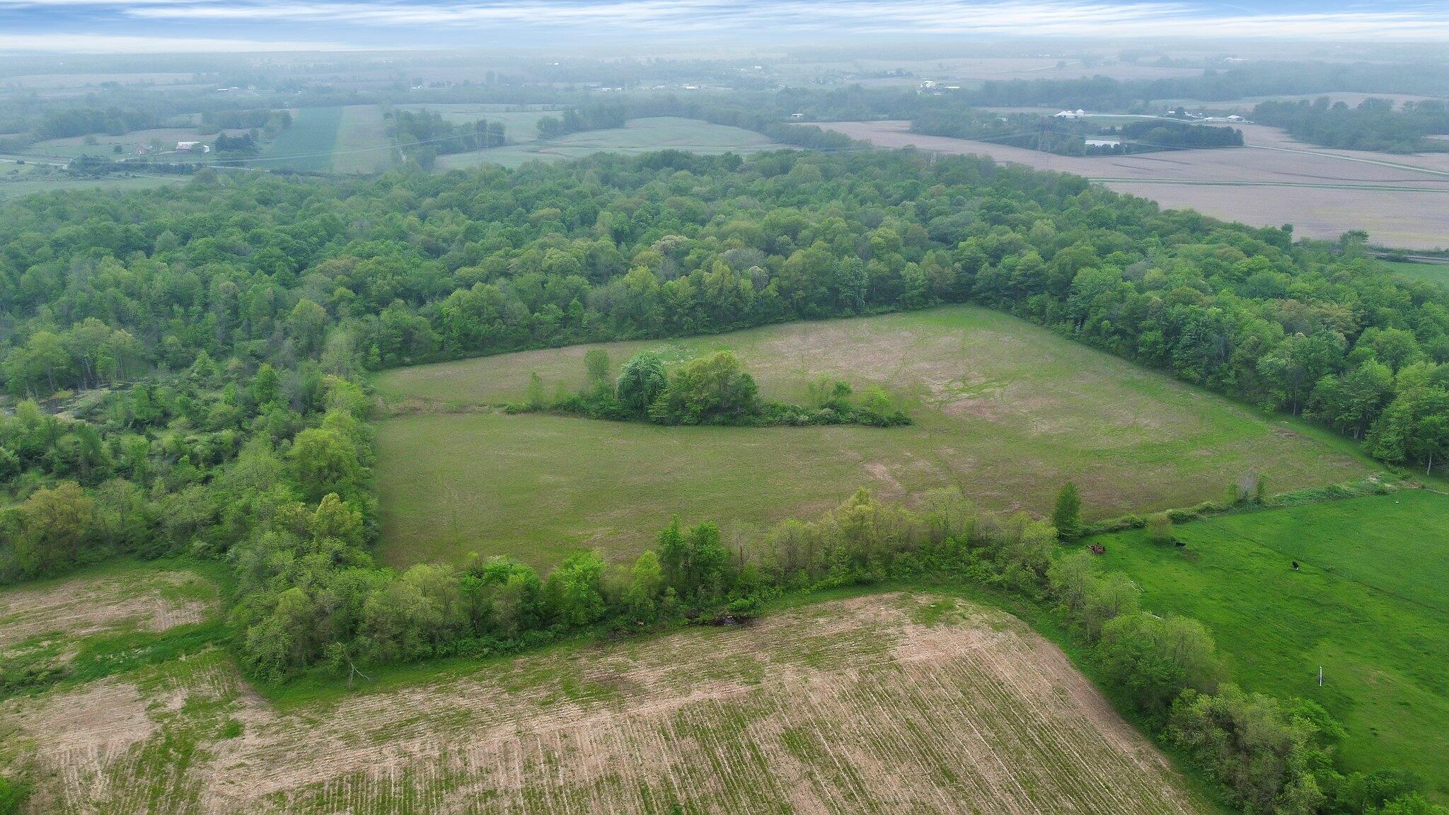 23455 Morse Road Raymond, OH 43067 - Photo 15 of 16 Back Lot