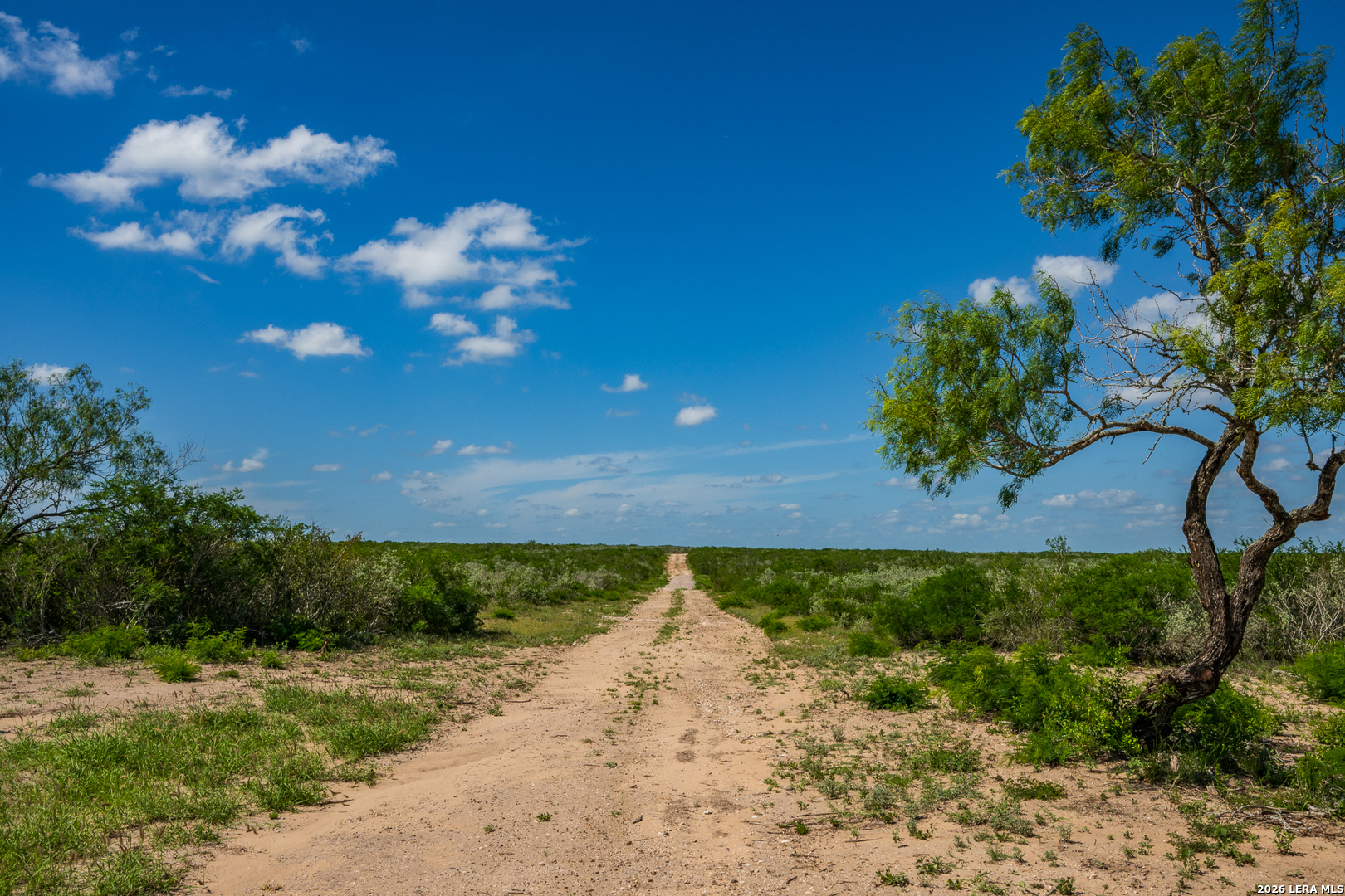 111 Los Lomas Ranch Road Freer, TX 78357 - Photo 25 of 31