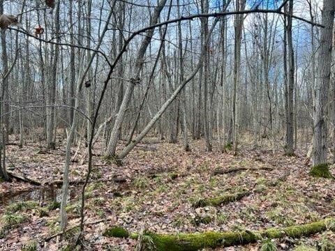 1291 Old Kyle Road Dorset, OH 44032 - Photo 4 of 21