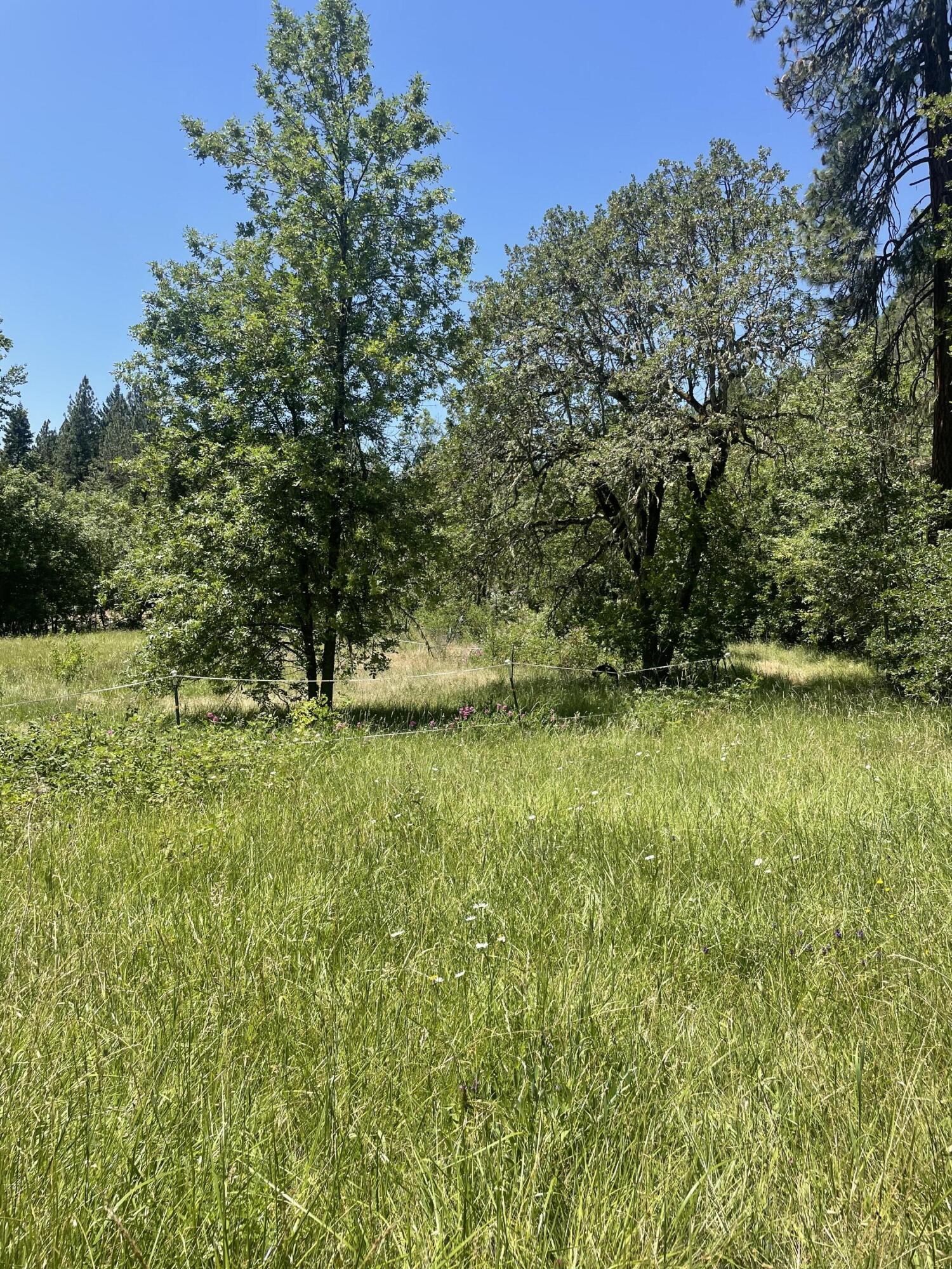 826 Ulrich Road Prospect, OR 97536 - Photo 5 of 13 IMG_3636