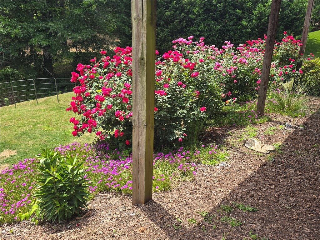 10 Colonel Storrs Court Greer, SC 29650 - Photo 42 of 48 This vibrant garden showcases colorful blooms and lush greenery, enhancing the property's natural appeal.