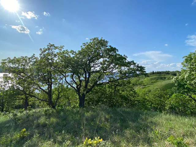 $225,000 | Tbd 300th Street, Beardsley, MN 56211