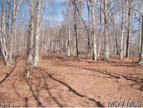 11 Mountain Ridge Road Auburn, WV 26325 - Photo 6 of 6 Gallery Image 6