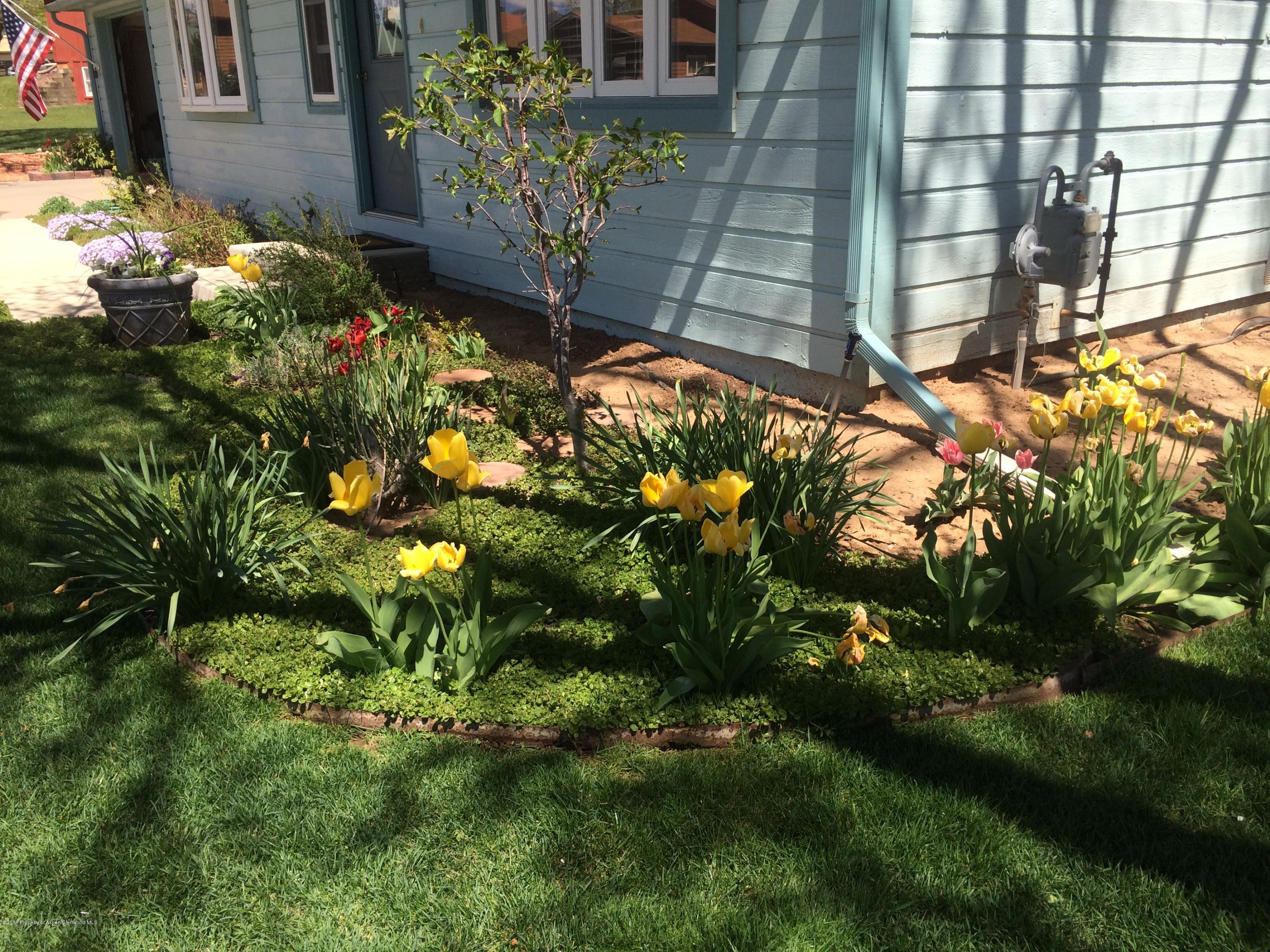 960 Cedar Drive Rifle, CO 81650 - Photo 26 of 27 a view of a garden with plants
