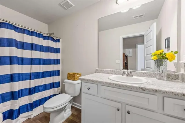 a bathroom with a sink a toilet a mirror and shower curtain