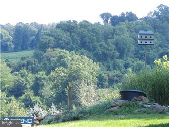 301 Reading Furnace Road Elverson, PA 19520 - Photo 10 of 12 View