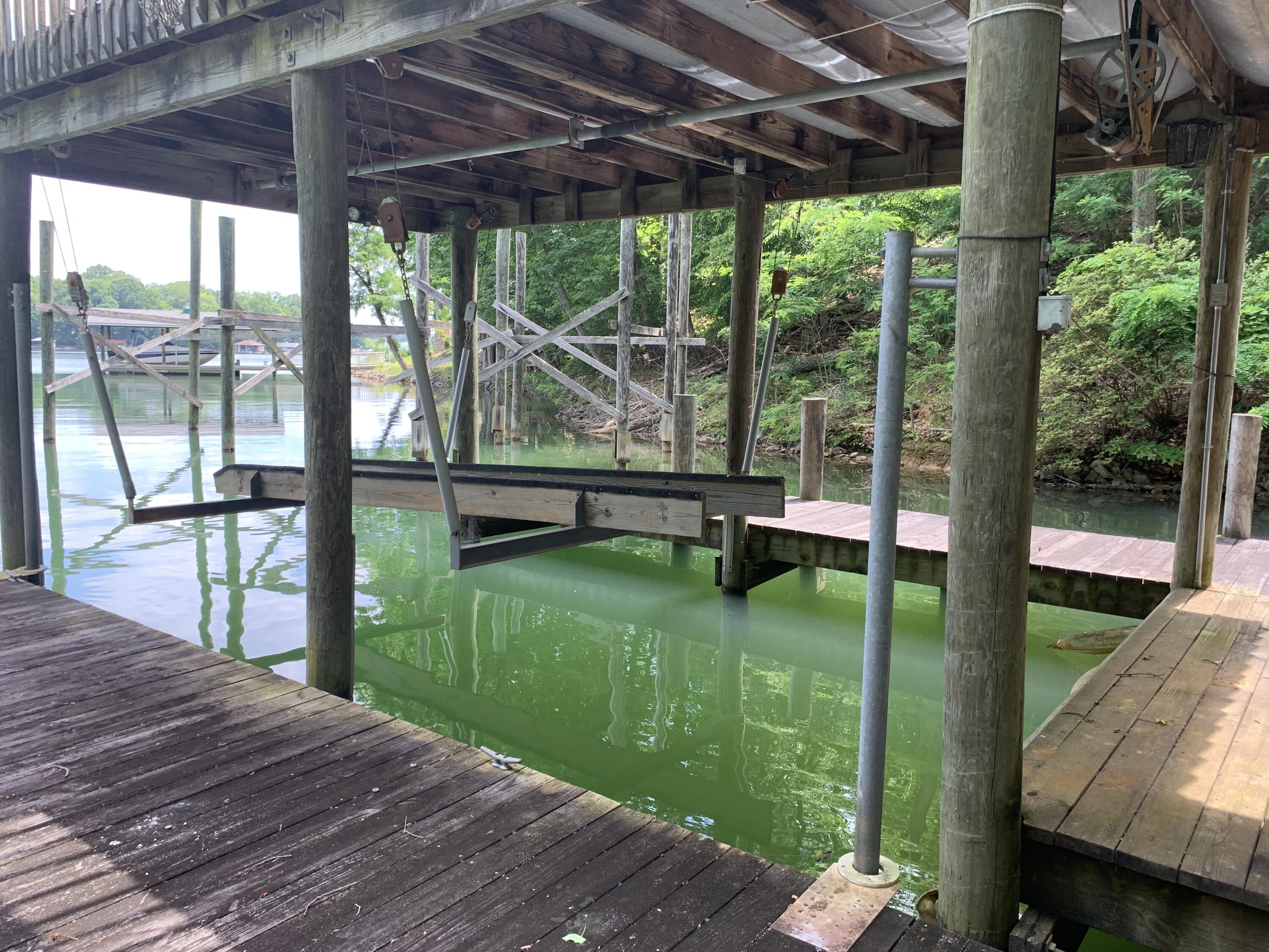 Lot 1 Kings Road Wirtz, VA 24184 - Photo 13 of 17 a view of a backyard with hardwood