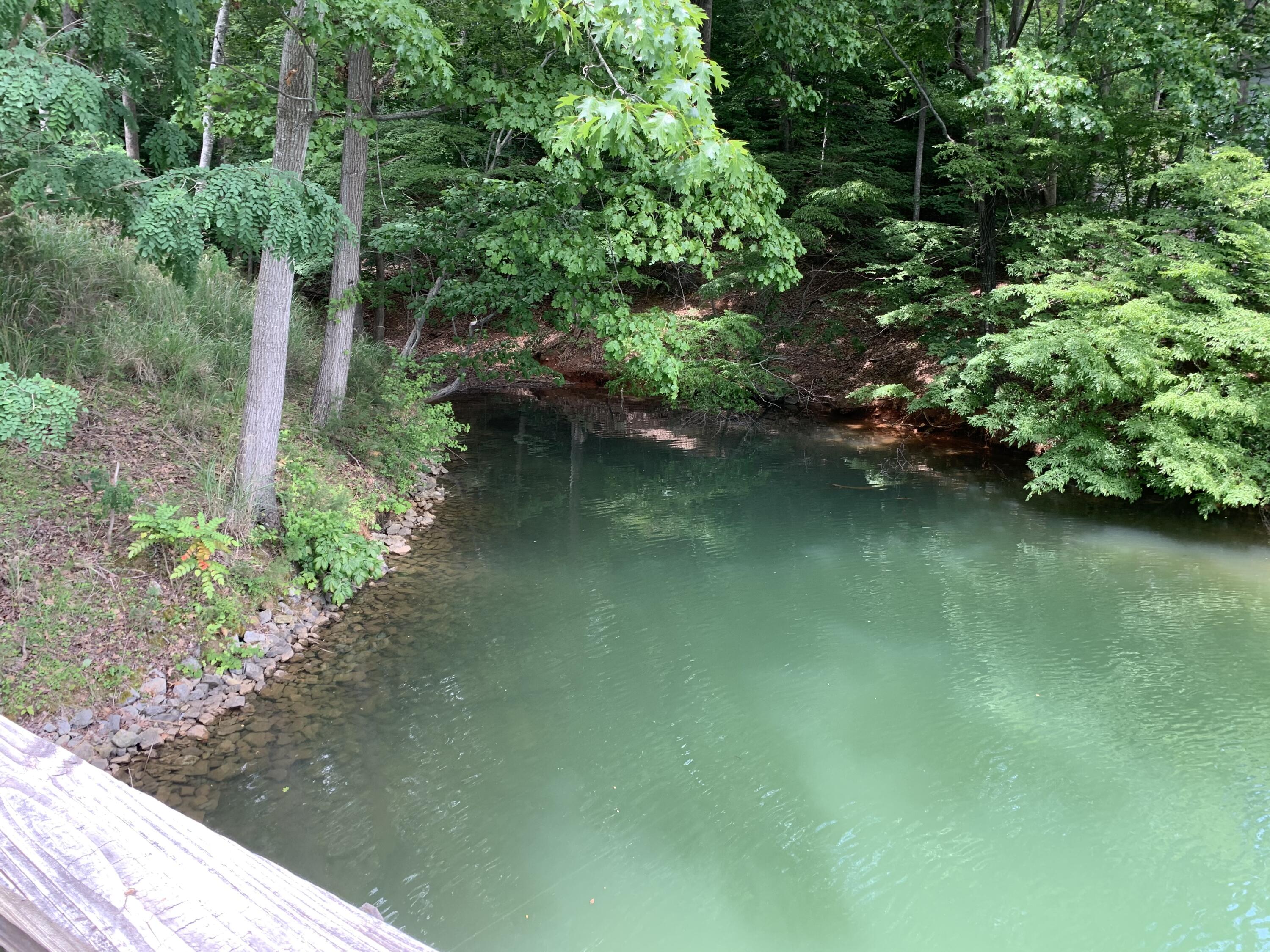 Lot 1 Kings Road Wirtz, VA 24184 - Photo 14 of 17 a view of a lake with green space