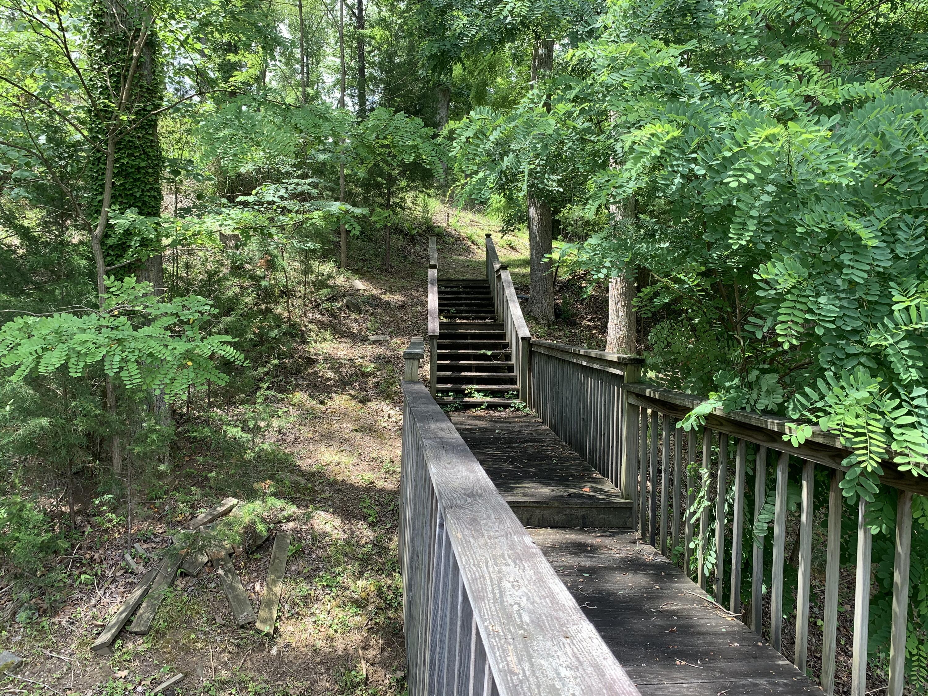 Lot 1 Kings Road Wirtz, VA 24184 - Photo 15 of 17 a balcony with trees in front of it