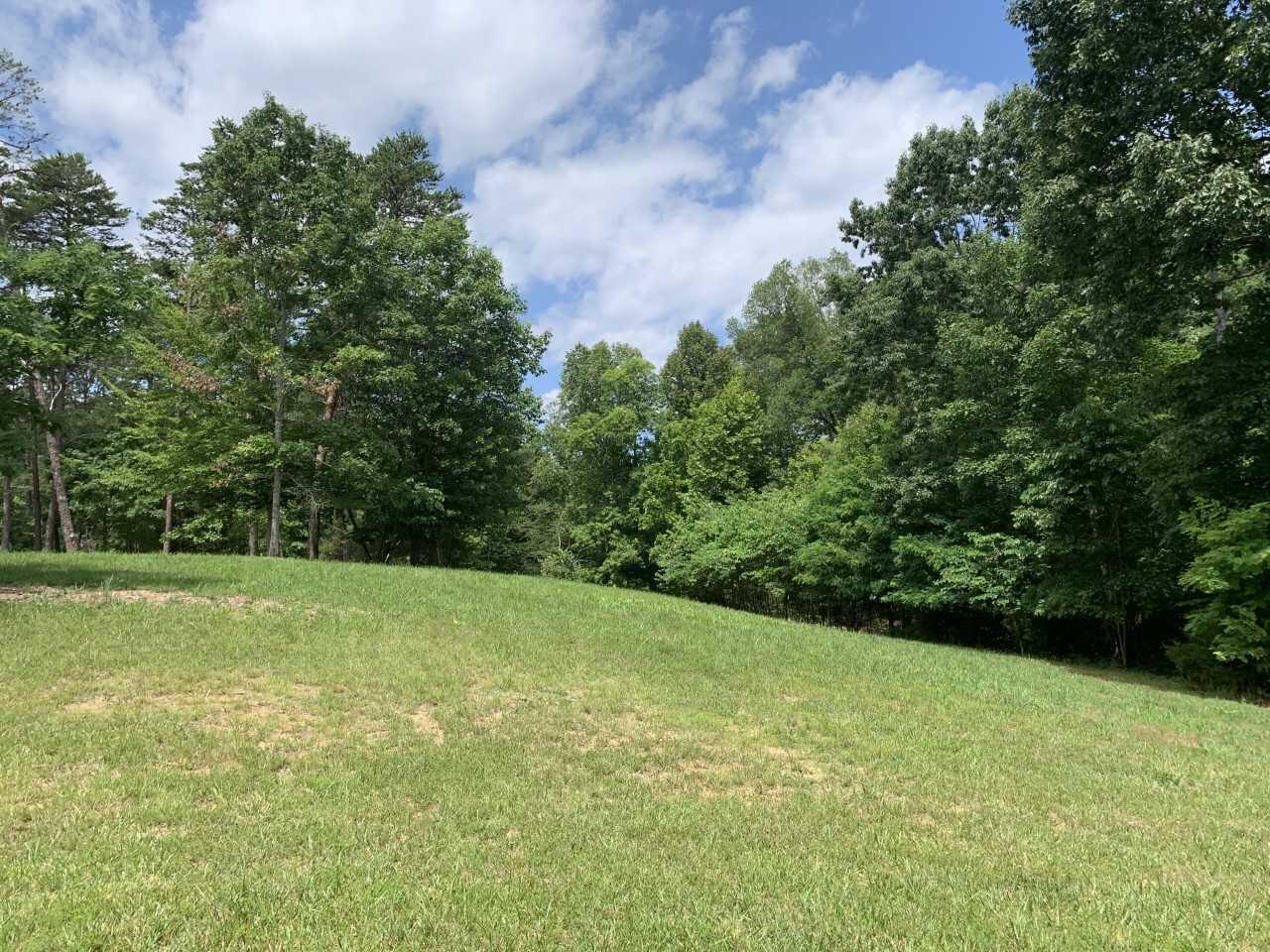 Lot 1 Kings Road Wirtz, VA 24184 - Photo 3 of 17 a view of a field with a trees in the background