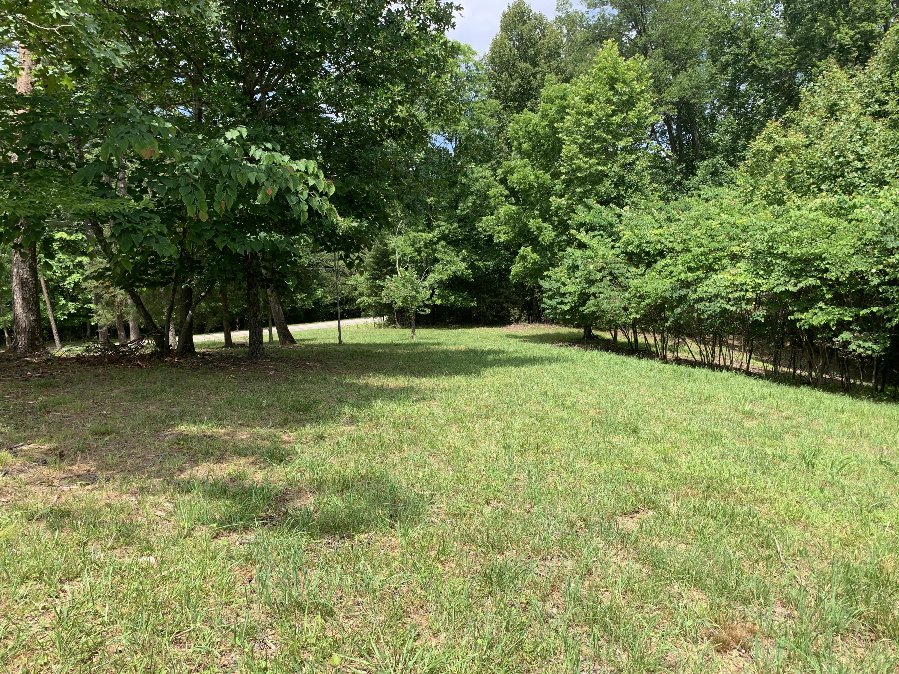 Lot 1 Kings Road Wirtz, VA 24184 - Photo 4 of 17 a view of pool outdoor space and deck
