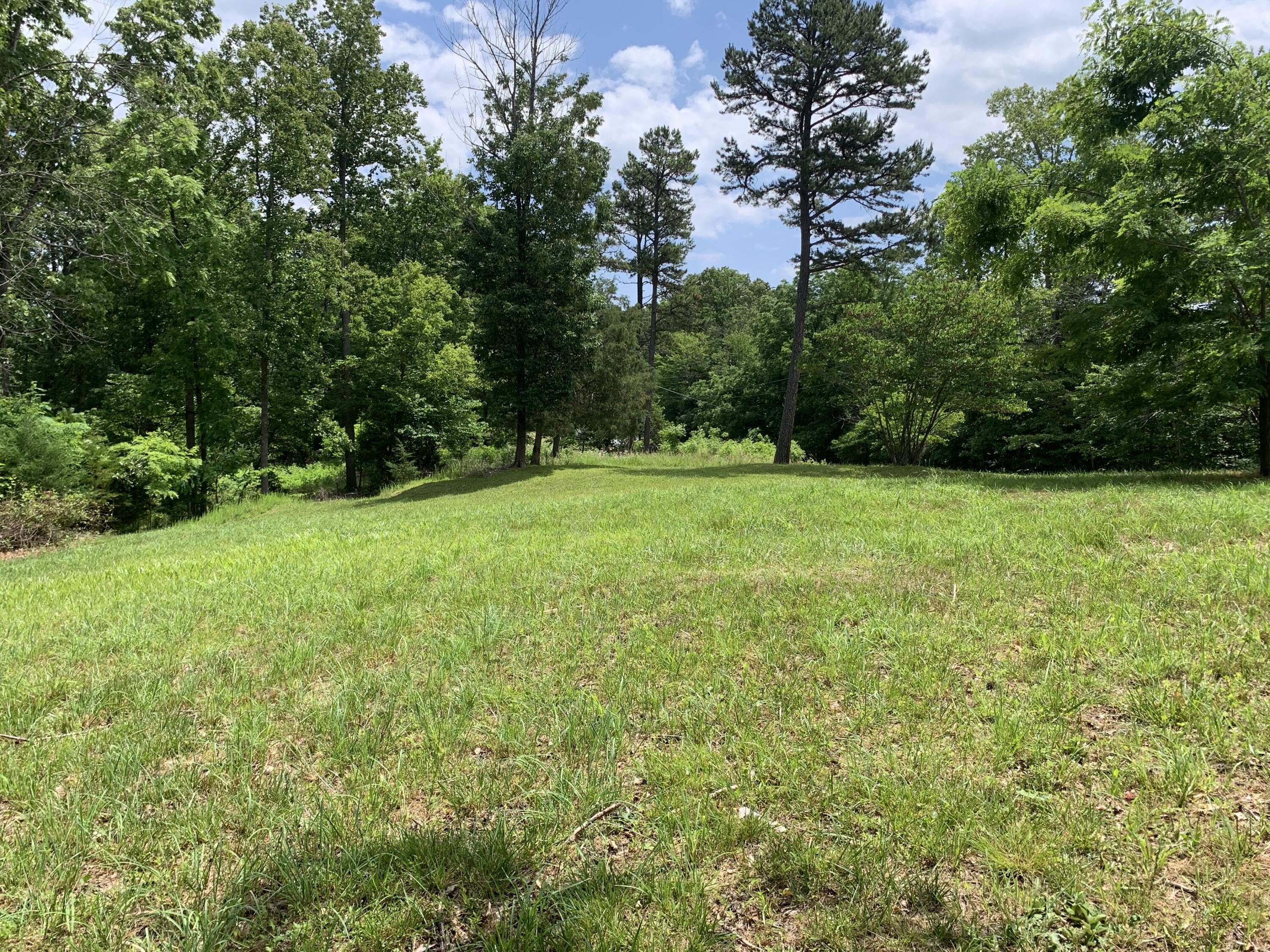 Lot 1 Kings Road Wirtz, VA 24184 - Photo 5 of 17 a view of a green field with plants in the background