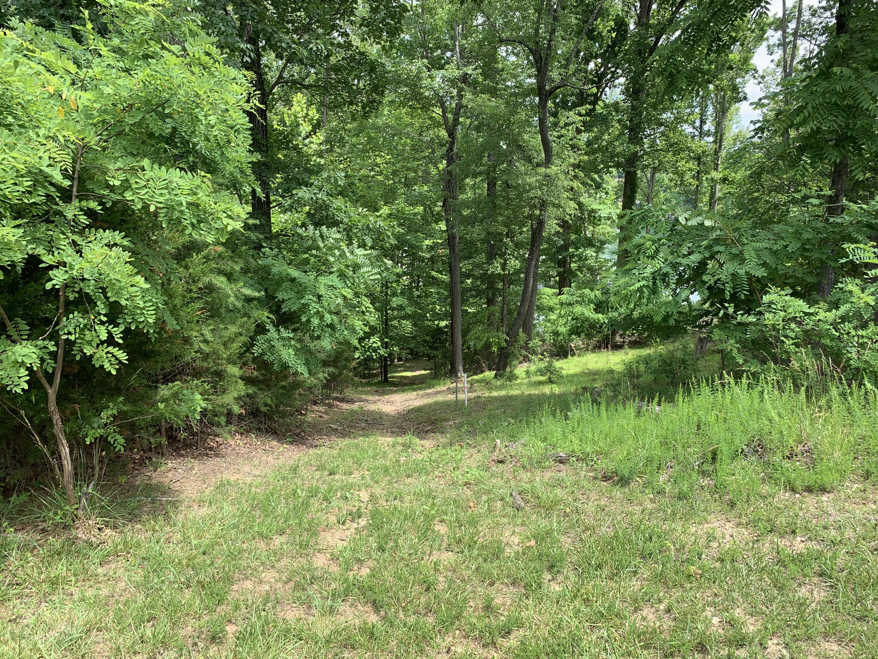 Lot 1 Kings Road Wirtz, VA 24184 - Photo 6 of 17 a view of backyard with green space